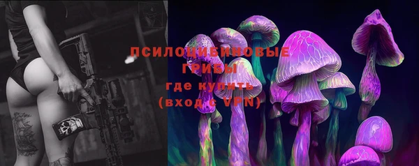 шишки Липки