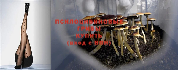 шишки Липки